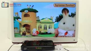 Delta Systems DS-920HD - обзор ТВ ресивера DVB-T2