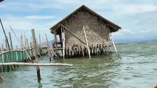 Inside a Fish Cage Facility in Puntod, Lorenzo Tan, Tangub | Feeding Bangus \u0026 Learning Its Parts