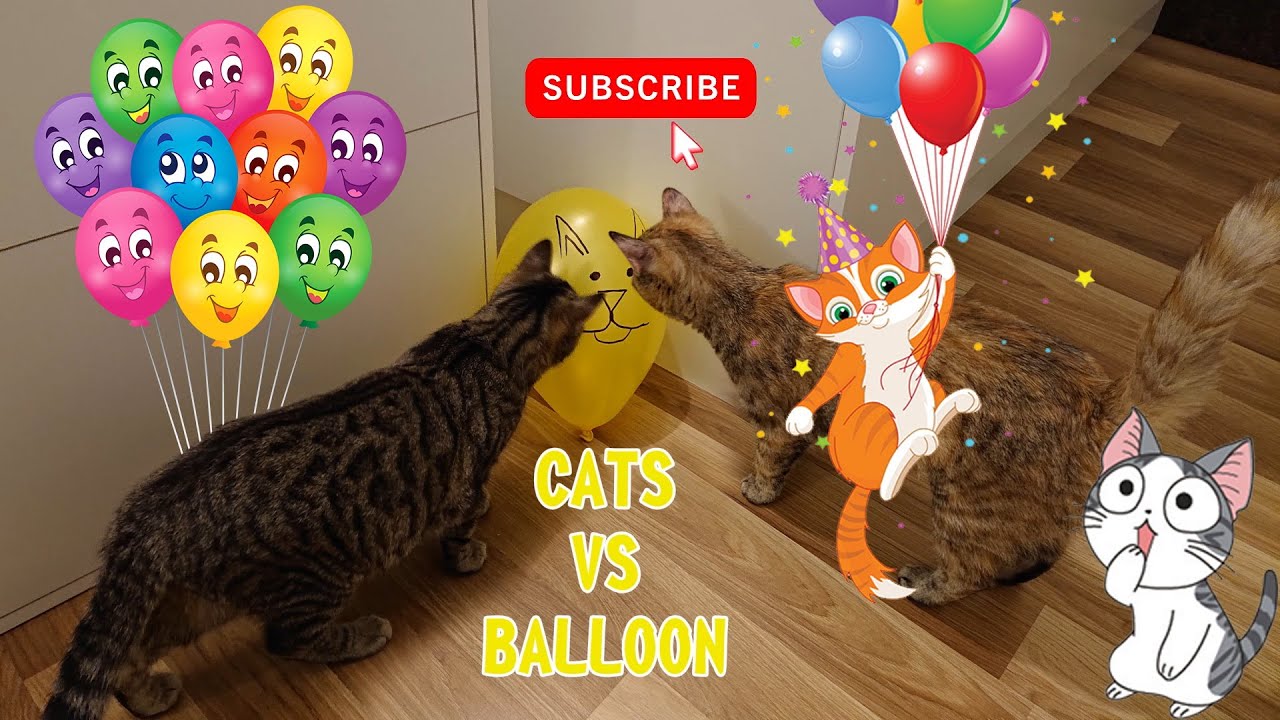 Cats VS Balloons Funny Play With Balloons YouTube