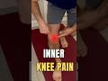 Inner Knee Pain? Try THIS Fix in 8 Seconds! π¦΅β