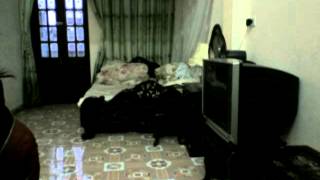 Capture 20140120 2