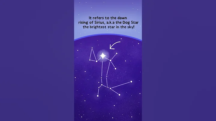 Did you know this about DOG DAYS OF SUMMER? Explainer #shorts - DayDayNews