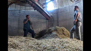 The Silos Are Full - Finishing Corn Harvest