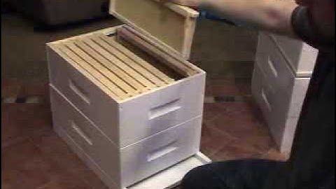 Basic components of the Langstroth bee hive