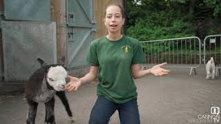 Annie and Robert go walkies - Cannon Hall Farm