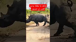 شاهد ما يفعله وحيد القرن