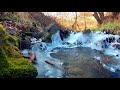【自然の音と映像】せせらぎを聴くリラックス 3時間 |  Hour Nature Sounds - Babbling Brook Sounds Relaxing Nature Sounds 3h