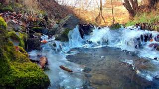 【自然の音と映像】せせらぎを聴くリラックス 3時間 |  Hour Nature Sounds - Babbling Brook Sounds Relaxing Nature Sounds 3h