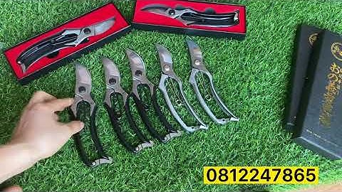 So sánh 2 mẫu kéo V - kéo cắt cành thép đúc nguyên khối Made in JAPAN.Zalo :0812247865