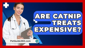 Are Catnip Treats Expensive? - PetGuide360.com