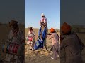 تحدي الجاذبية مهارات مذهلة للعروس في التعلق خلف الجمل أثناء السير السريع وسط ذهول المعازيم