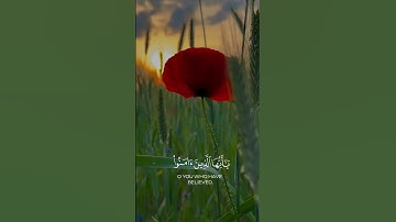 القرآن الكريم | يوسف عثمان