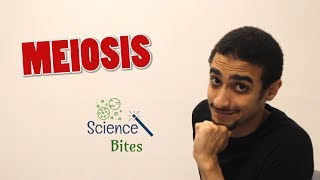 فيديو لأول ألف مشترك: Meiosis بالعربي شرح بالعربي للمايوزز