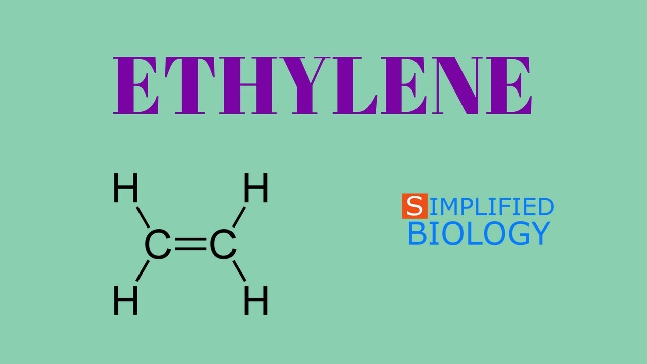 ETHYLENE (Plant growth regulator) for NEET, AIIMS, AIPMT, JIPMER, PREMED