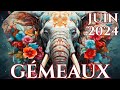 ♊GÉMEAUX JUIN 2024🌼Et Si Vous Vous Étiez Trompé ?🌼