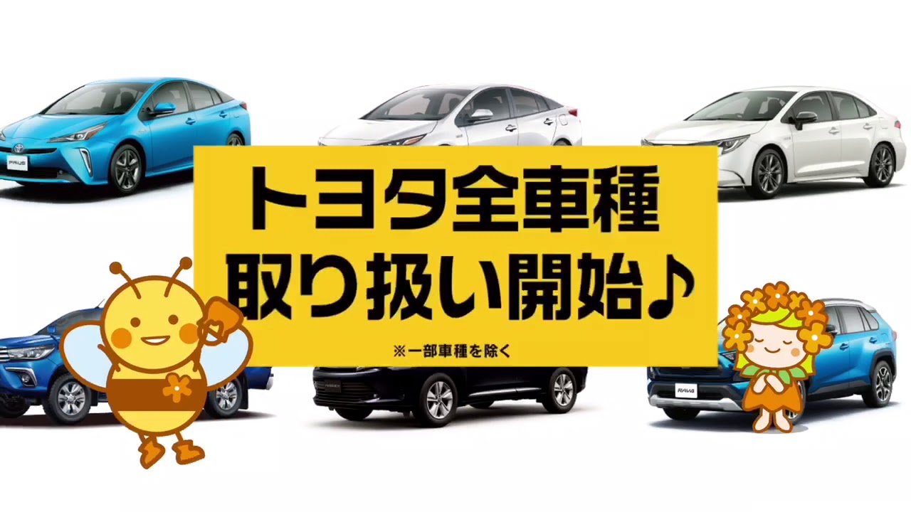 トヨタカローラ博多 全車種取り扱い開始 Youtube