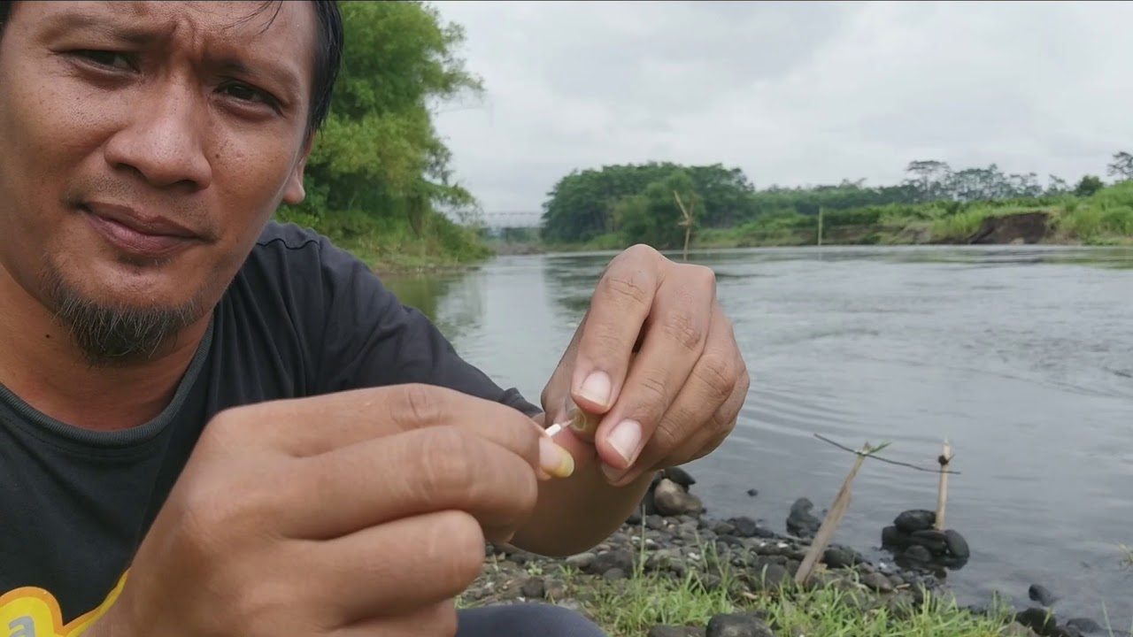 Mendung Nekat Mancing Di sungai Praktekin cara pasang Umpan Pelet