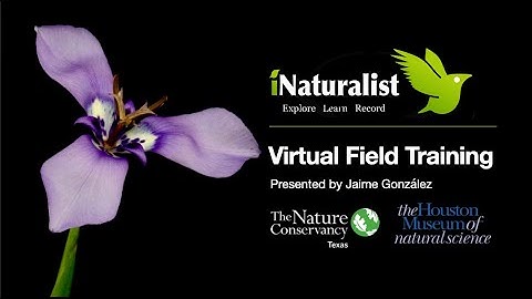 iNaturalist/City Nature Challenge Virtual Training (2020)