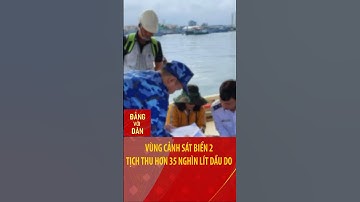 Vùng Cảnh sát biển 2 tịch thu hơn 35 nghìn lít dầu DO #shorts