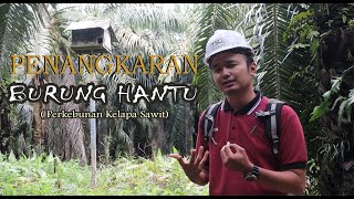 PENANGKARAN BURUNG HANTU (Tyto Alba) PERKEBUNAN SAWIT PT.TSB