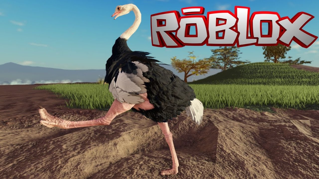 AVESTRUZ Encrenqueiro Do SAVANNAH LIFE da ROBLOX #savannahlife #roblox