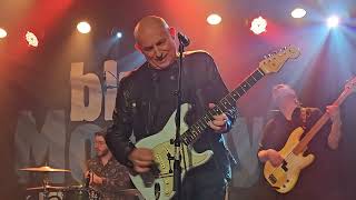 ZED MITCHELL Band-I play my guitar Solothurn- Blue Monday 27.01.2024!