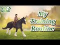 My SSO Training Routine + A Random Yapping Session ★·.·´¯`·.·★
