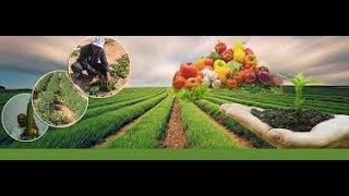 أساليب الزراعة الحديثة