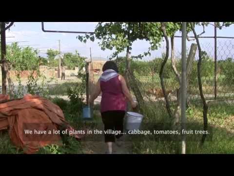 ქალები ადგილობრივ პოლიტიკაში