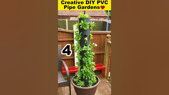 Creative DIY pvc pipe garden ideas #creative  #shorts #garden #diy