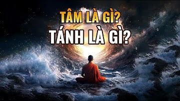 Tâm là gì? Tánh là gì? Vì sao hàng ngàn năm qua con người vẫn nhầm lẫn? | Tâm Tỉnh Thức