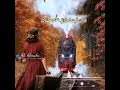 سالوني هل هناك حب بدون لقاآءفاجبت  دون لقاءعشق فعندماتعشق فليس باضوري ان تعشق م      ن تره عيناك     نجومي