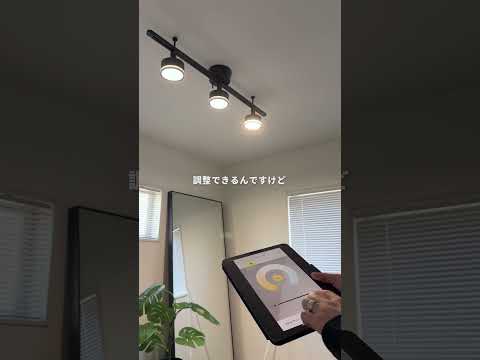 Actually This Is My Second Purchase Lighting Interior Living Alone