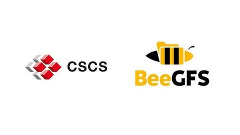 Hussein N. Harake (CSCS) - Evaluation of BeeGFS parallel filesystem