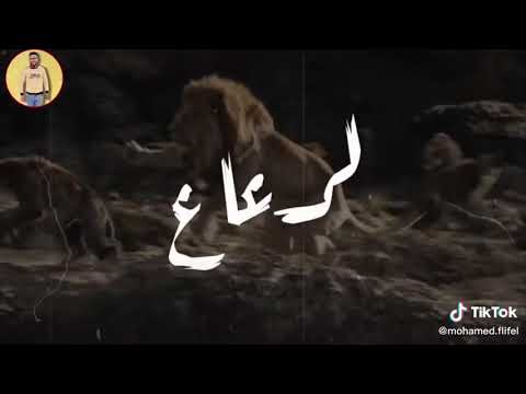 حالات واتس الأسد هضرب عيار علي الجسد