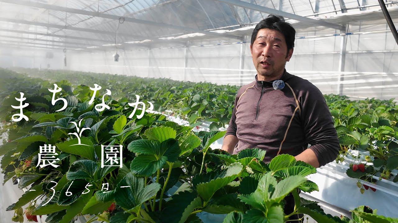 出張版#5  辺境の大開発とイチゴハウス｜平本農園