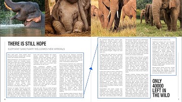 Linked Text Frames (Affinity Publisher)