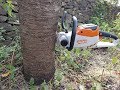 STIHL Cordless MSA 140 C-BQ Chainsaw Cutting logs | TEST