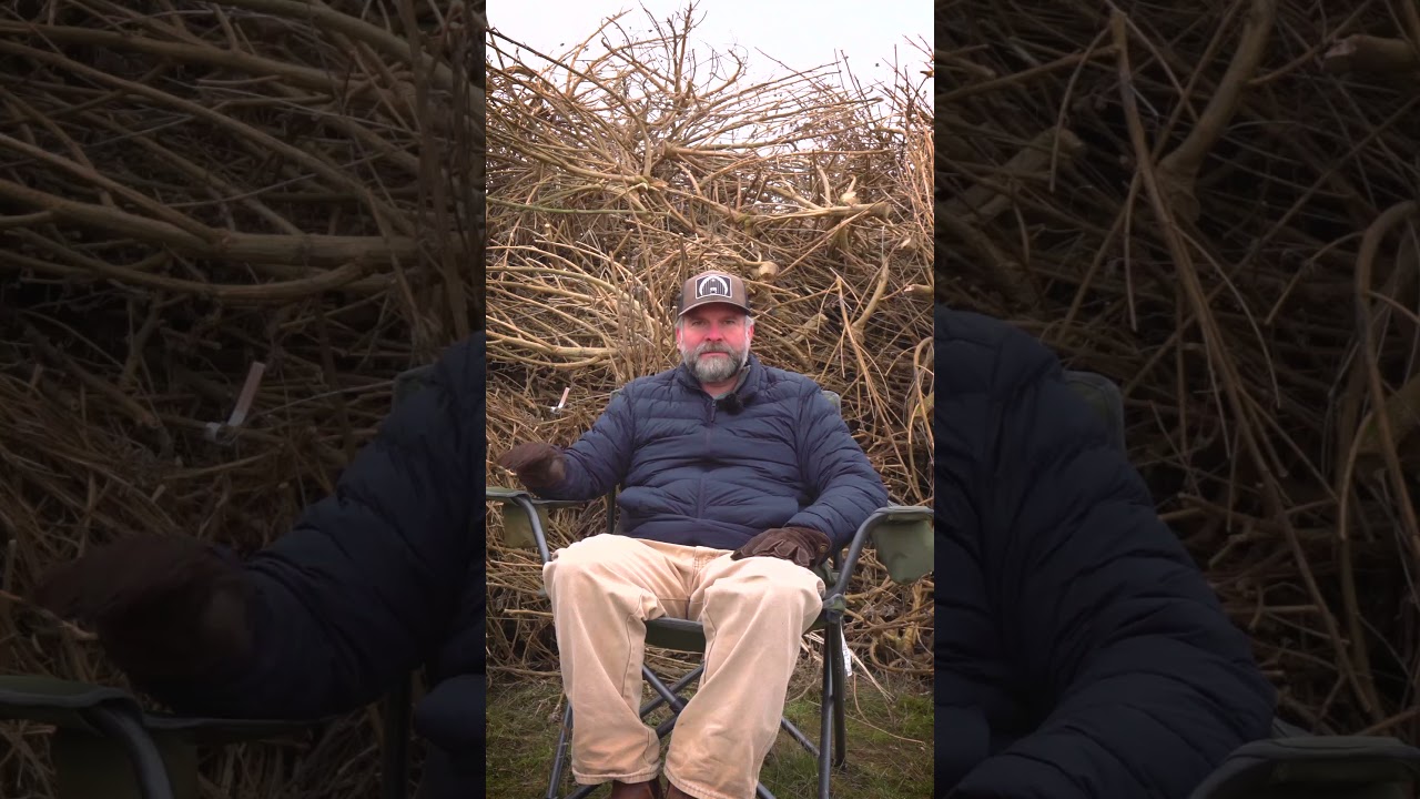 Lean on me: our DIY trellis system pros and cons. Cannabis cultivation 