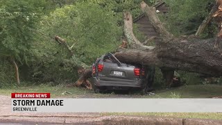 Storm takes down trees, power lines in Greenville