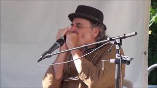 Al Lerman - Tribute to Sonny Terry & Brownie McGhee