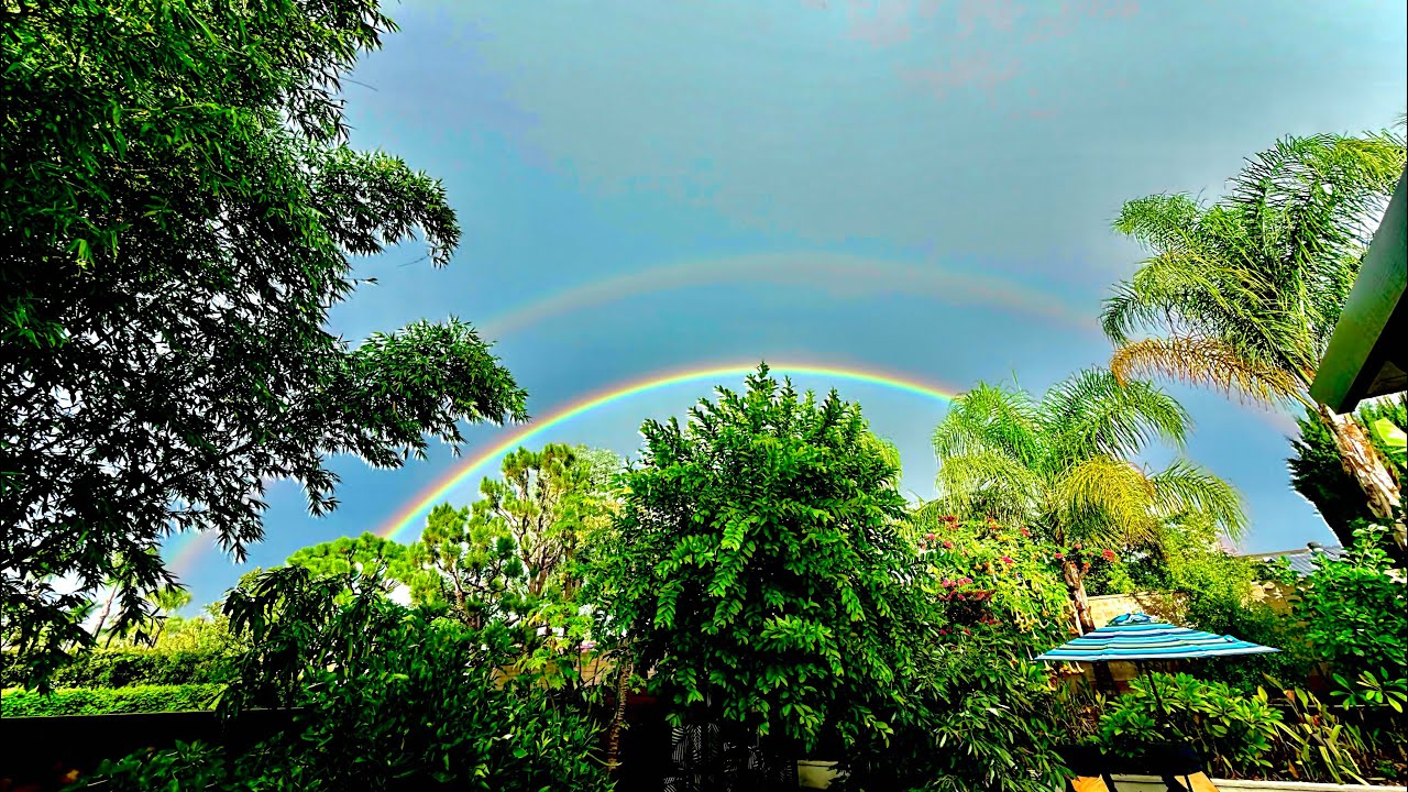 Winter 2026 Update of backyard subtropical garden