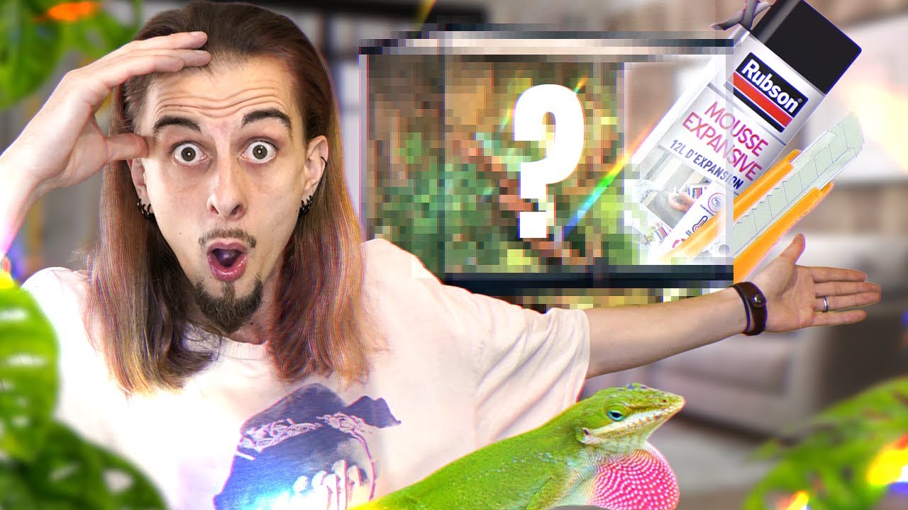 Je RÉALISE un TERRARIUM pour mon ANOLIS en live sur TWITCH ! REDIFF [ MES BESTIOLES D'ABORD ]