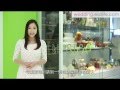 生活易Wedding TV - 新婚自「煮」好Easy！ 鴻星婚嫁新驚喜