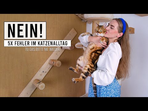 Video: Was macht eine Katze nicht adoptierbar?