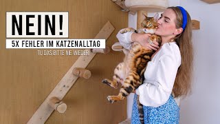 5x Fehler im Katzen Alltag / das macht deine Katze traurig und ist nicht artgerecht / Amely Rose