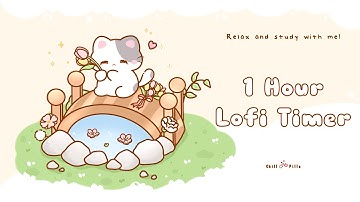 1 Hour - Relax & study with me Lofi | Cat on bridge #timer #1hour #1hourloop #lofi #relaxing #calm