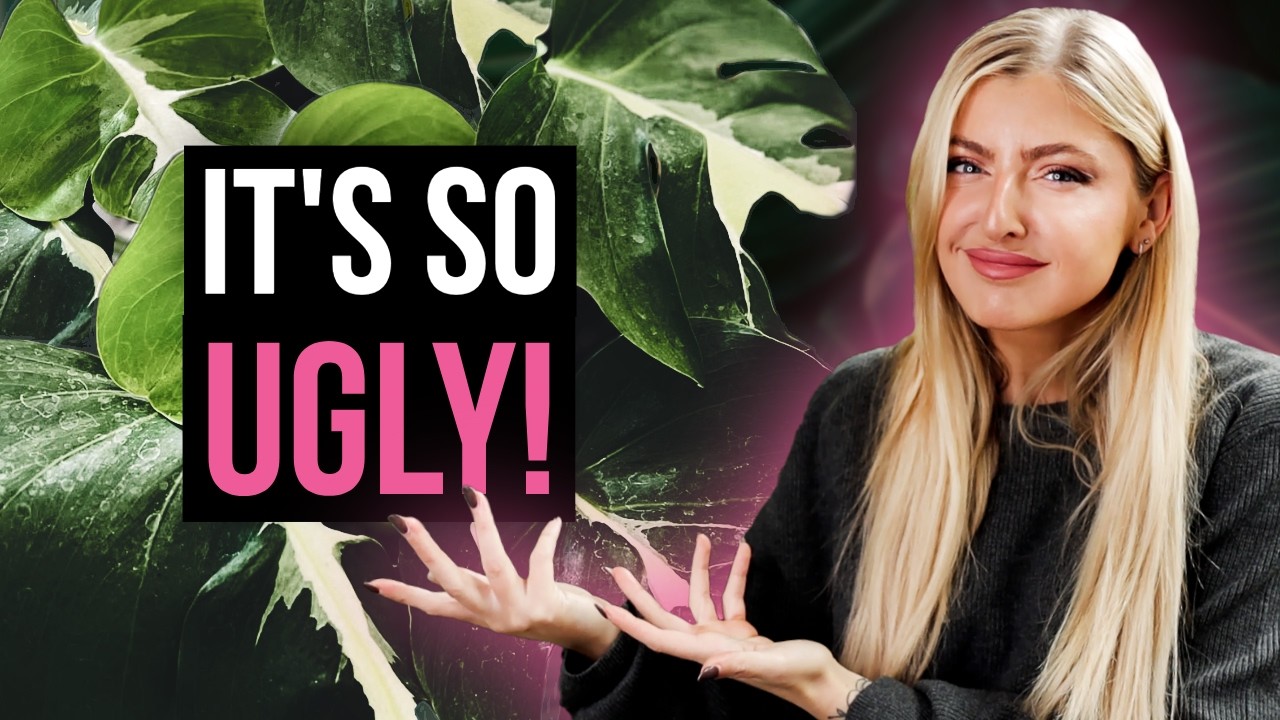 Я вообще не понимаю шумихи вокруг этих растений