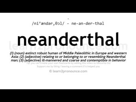 Pronunciation of Neanderthal | Definition of Neanderthal