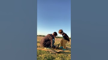 plant a tree today! 🌳 #boymom #shorts #treehugger #nature #fyp